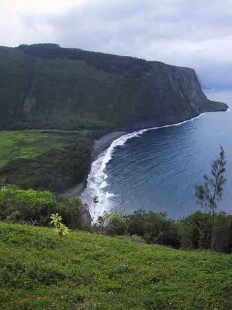 Hawaiis Küste