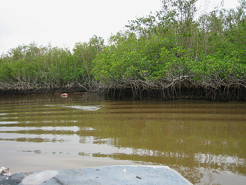 Fotos Fluss | 