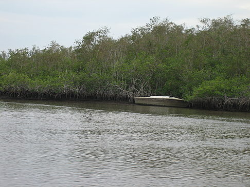 Fotos Fluss | 