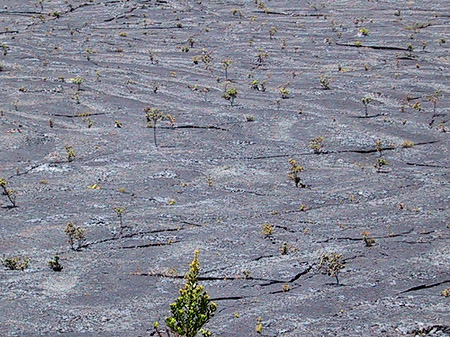 Foto Erstarrte Lava