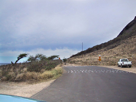 Foto Straßen auf Oahou - 