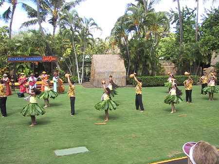 Hula Show