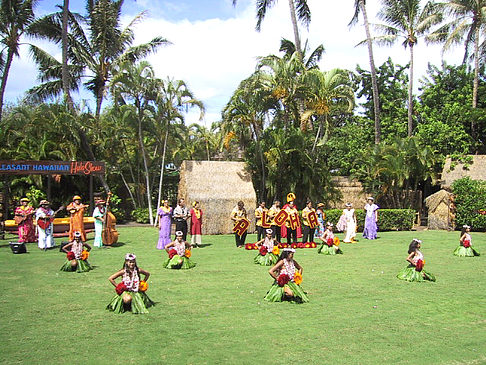 Hula Show Fotos