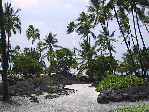 Der Strand von Hawaii Foto 