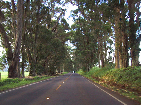 Foto Straßen auf Kauai - 