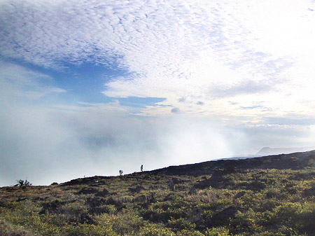 Trockene Landschaft