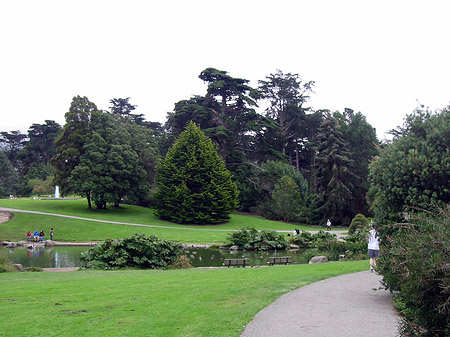 Fotos Golden Gate Park mit Botanischen Garten | San Francisco