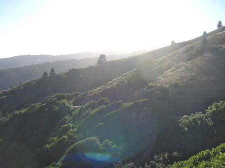 Fotos Muir Wald | 